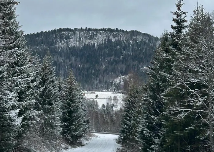 Svarstad * Svarstad (Vestfold)